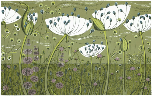 Alewin_agapanthus