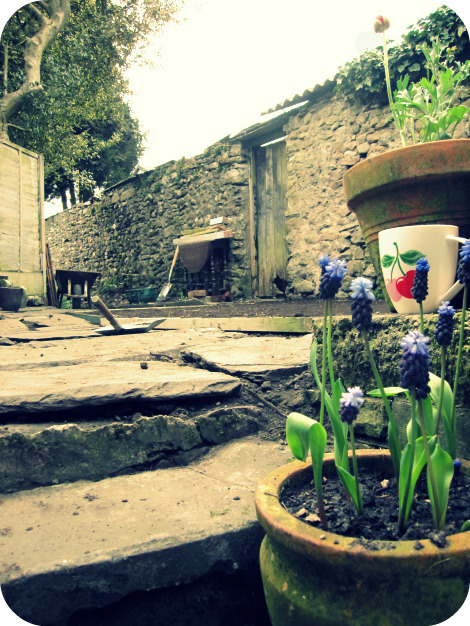 Garden1