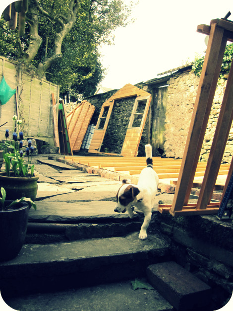 Shed stan