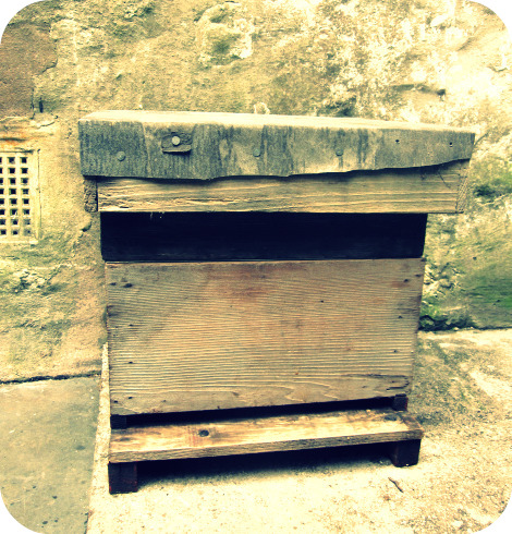 Hive