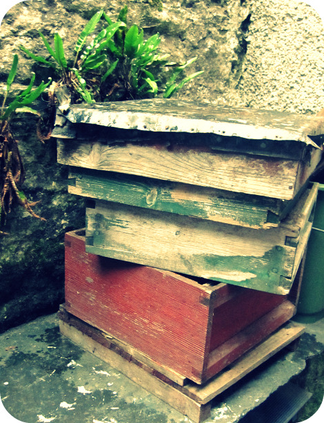 Hive2