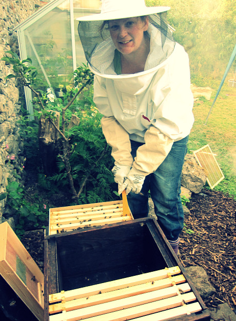 Me & the bees