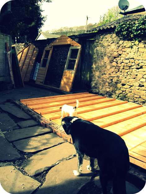 Stan1 shed