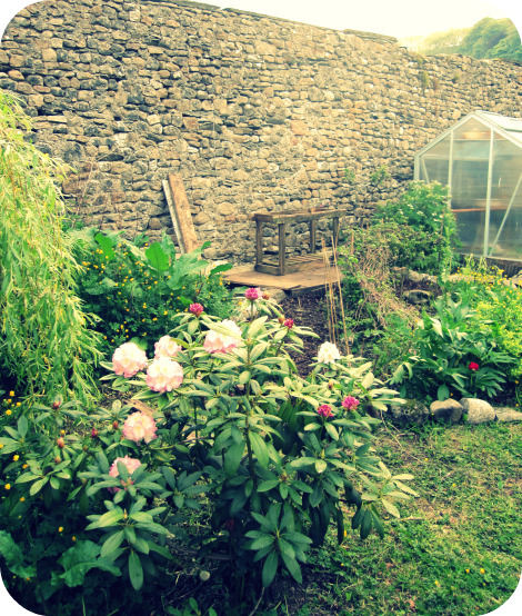 Apiary