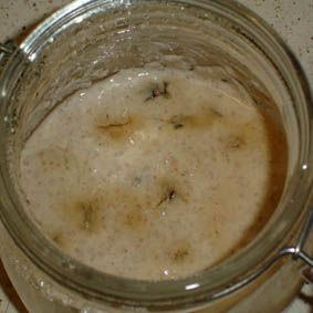 Leaven241