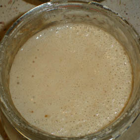 Leaven5