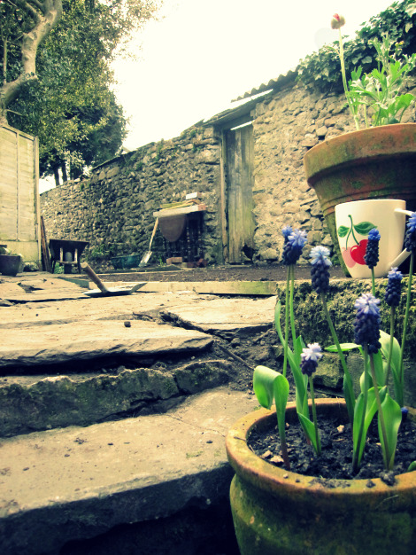 Garden1
